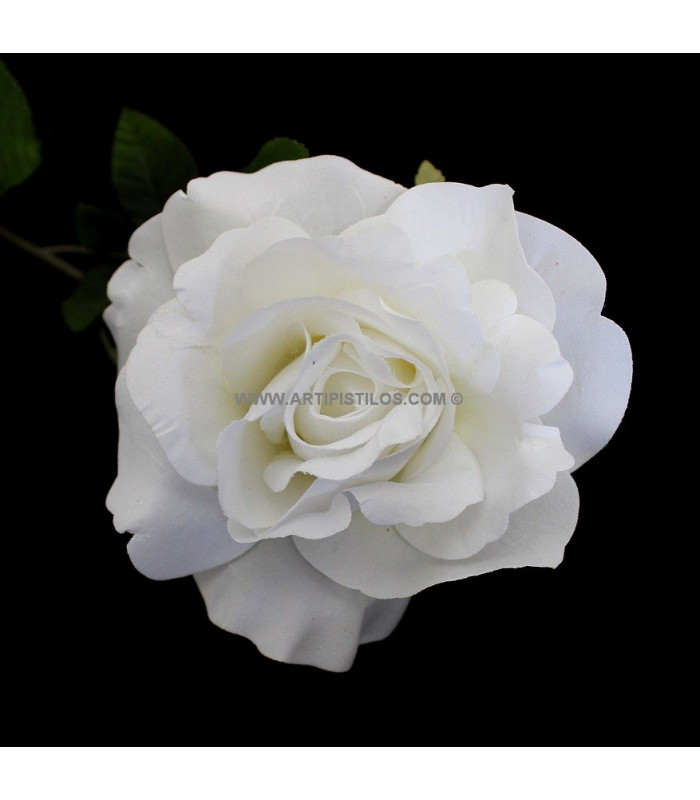 ROSE VELOUR 12 X 6 CMS.