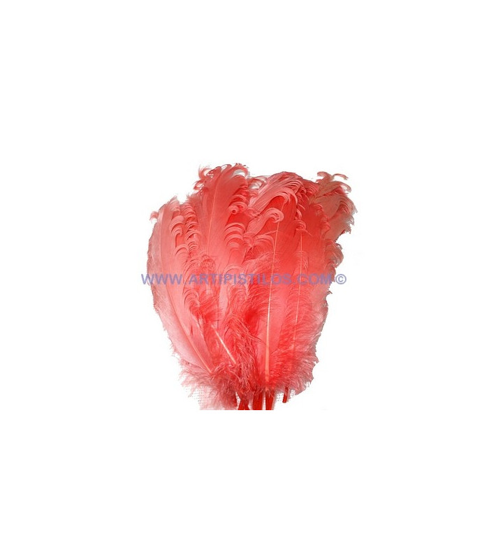 PLUME FRISÉE DE CANARD 15 CMS.
