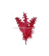 PLUME FRISÉE DE CANARD 15 CMS.