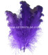 PLUME FRISÉE DE CANARD 15 CMS.