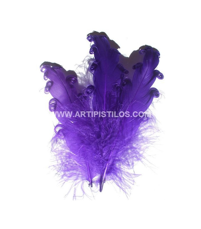PLUME FRISÉE DE CANARD 15 CMS.
