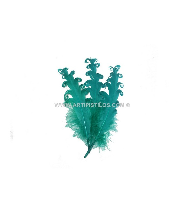 PLUME FRISÉE DE CANARD 15 CMS.