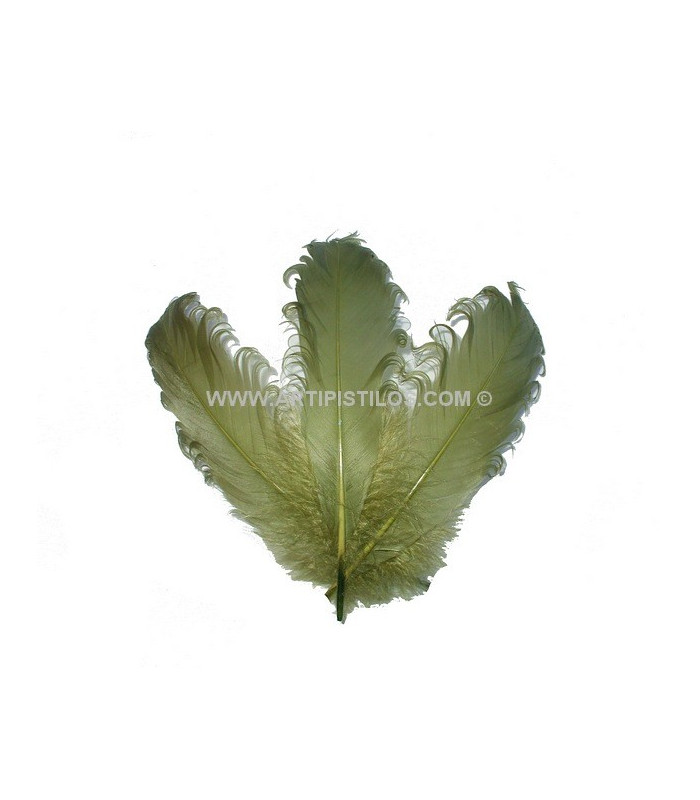 PLUME FRISÉE DE CANARD 15 CMS.