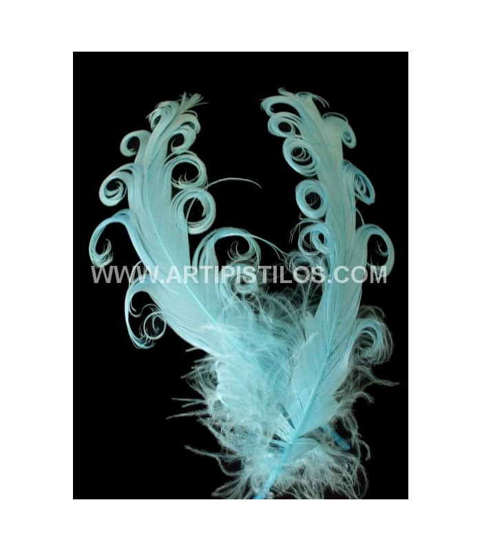 PLUME FRISÉE DE CANARD 15 CMS.