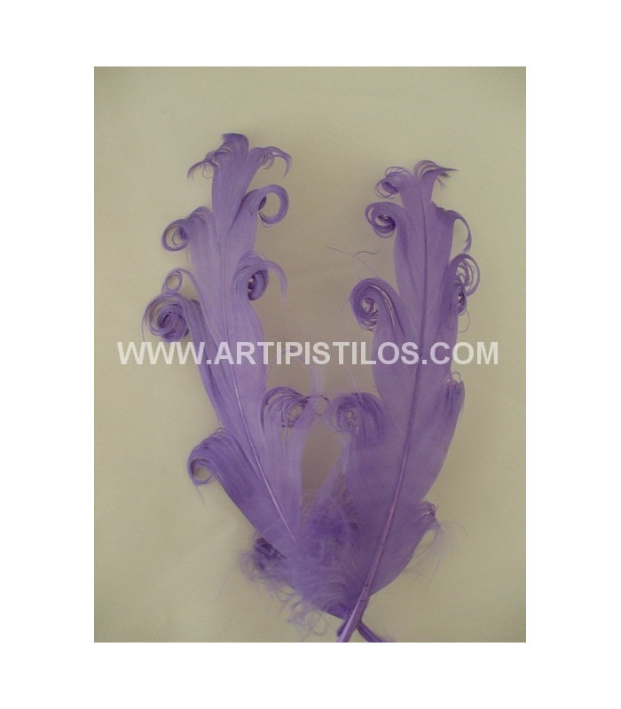 PLUME FRISÉE DE CANARD 15 CMS.