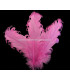 PLUME FRISÉE DE CANARD 15 CMS.