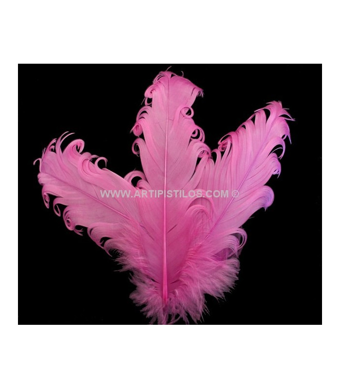 PLUME FRISÉE DE CANARD 15 CMS.