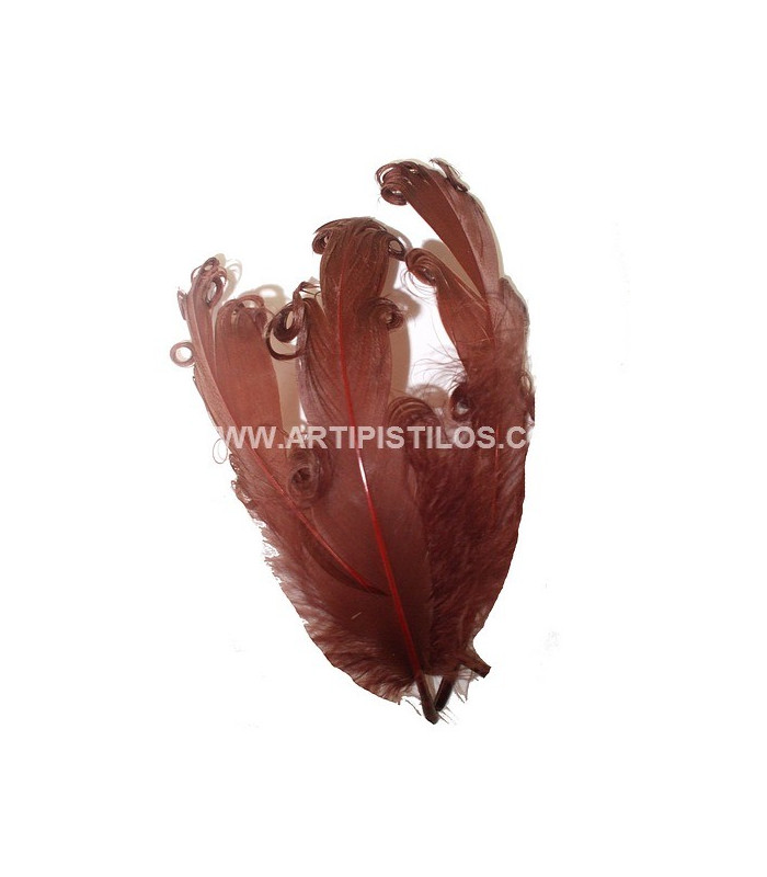 PLUME FRISÉE DE CANARD 15 CMS.