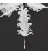 PLUME FRISÉE DE CANARD 15 CMS.