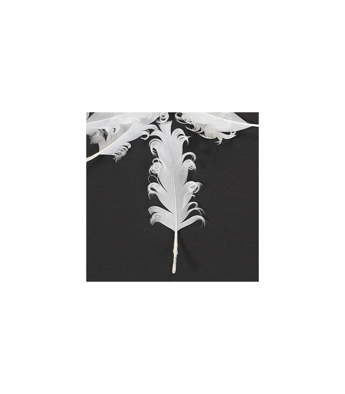 PLUME FRISÉE DE CANARD 15 CMS.