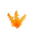 PLUME FRISÉE DE CANARD 15 CMS.
