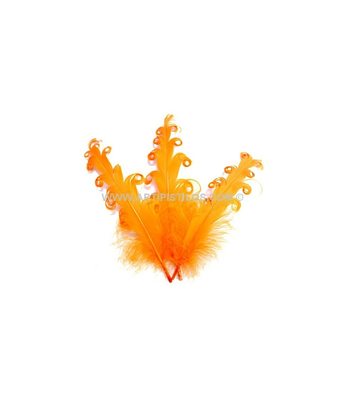 PLUME FRISÉE DE CANARD 15 CMS.