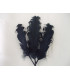 PLUME FRISÉE DE CANARD 15 CMS.