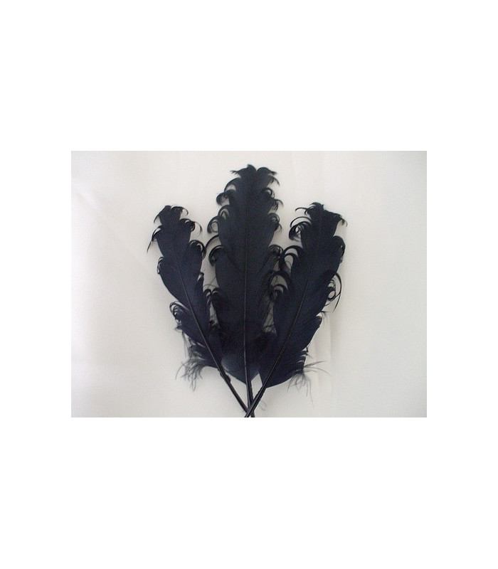 PLUME FRISÉE DE CANARD 15 CMS.