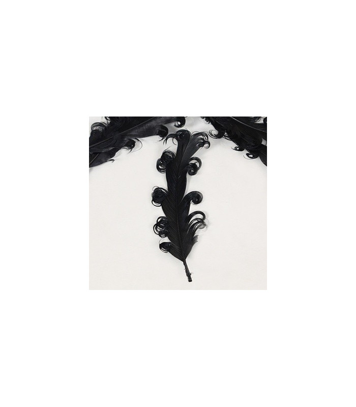 PLUME FRISÉE DE CANARD 15 CMS.