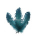 PLUME FRISÉE DE CANARD 15 CMS.