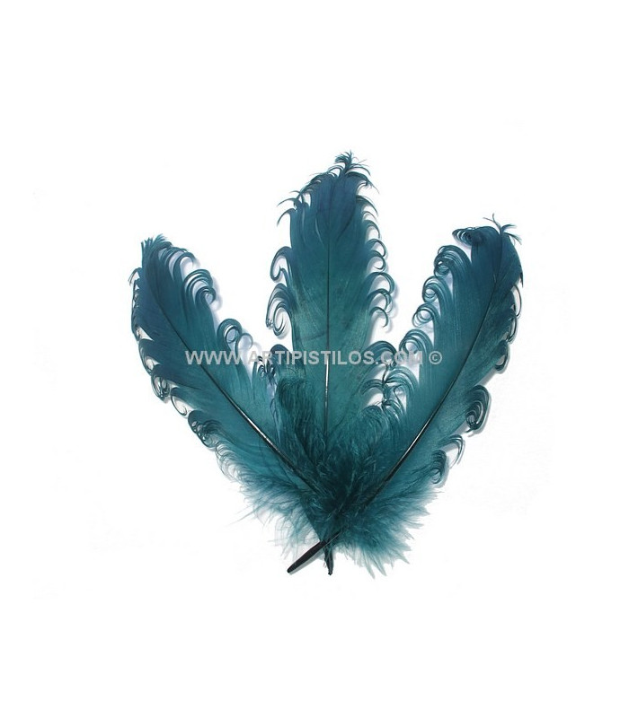 PLUME FRISÉE DE CANARD 15 CMS.