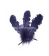 PLUME FRISÉE DE CANARD 15 CMS.
