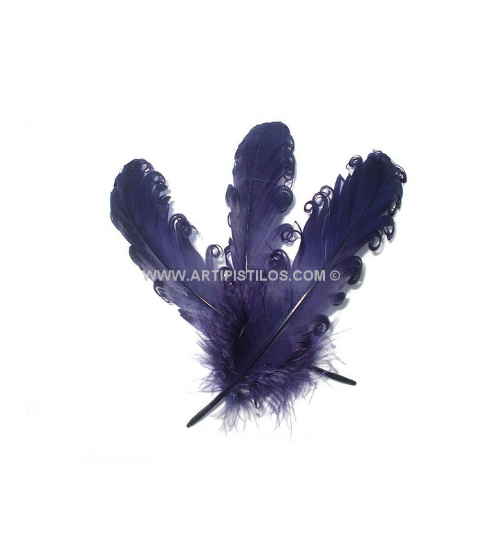 PLUME FRISÉE DE CANARD 15 CMS.