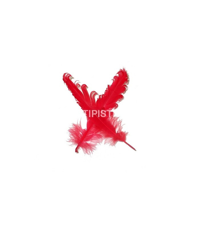 PLUME FRISÉE DE CANARD 15 CMS.