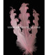 PLUME FRISÉE DE CANARD 15 CMS.