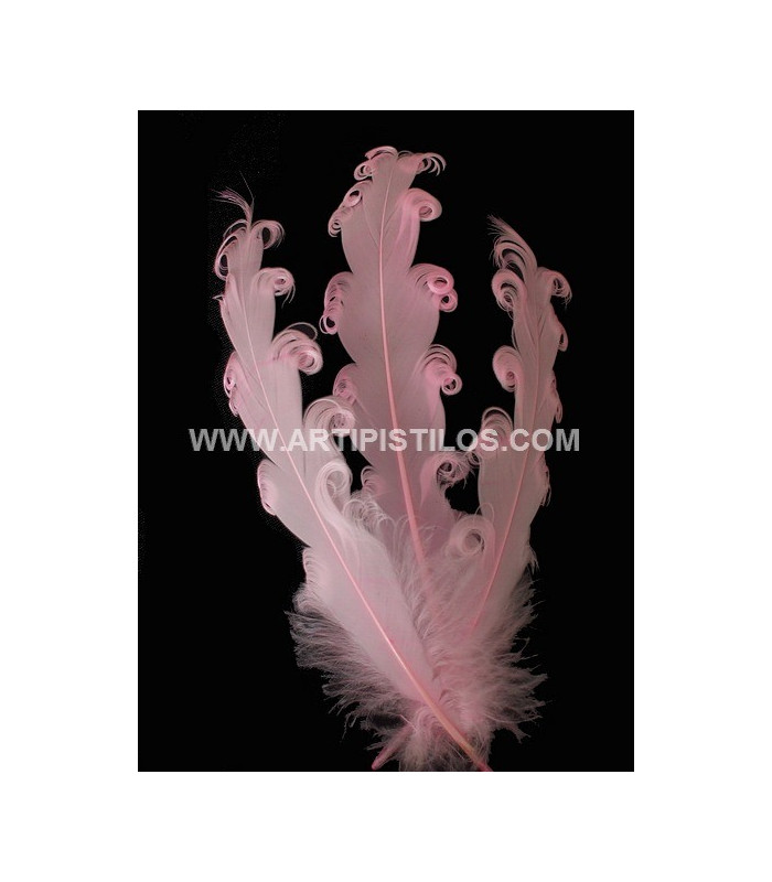 PLUME FRISÉE DE CANARD 15 CMS.