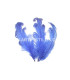 PLUME FRISÉE DE CANARD 15 CMS.