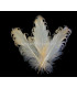 PLUME FRISÉE DE CANARD 15 CMS.