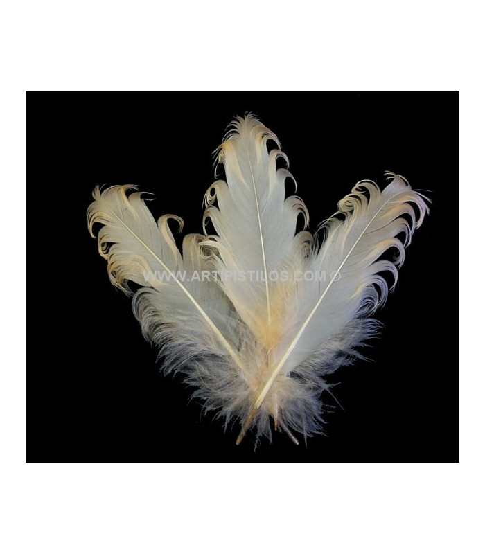 PLUME FRISÉE DE CANARD 15 CMS.
