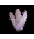 PLUME FRISÉE DE CANARD 15 CMS.