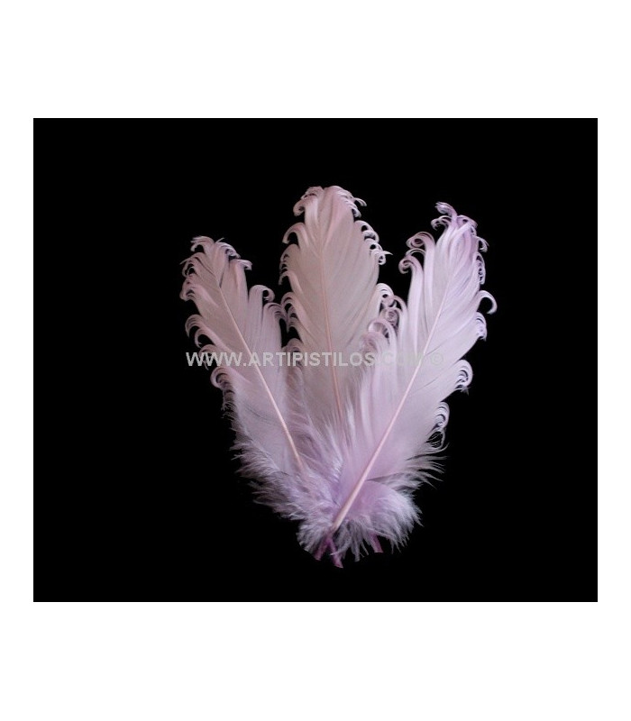 PLUME FRISÉE DE CANARD 15 CMS.