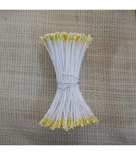 PISTIL PERLÉ 2 COTÊS