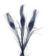 PLUME DE PAON BRÛLÉ TEINTÉ