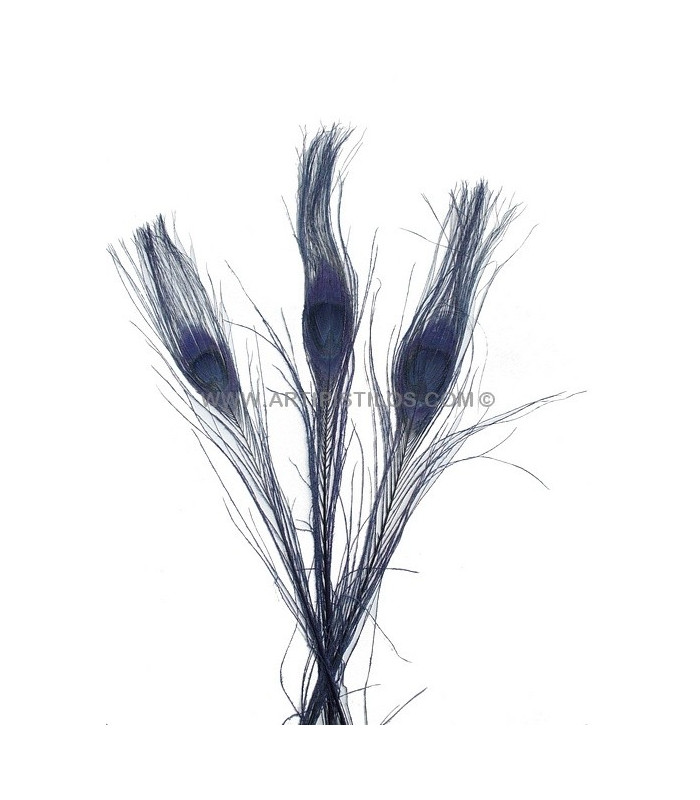 PLUME DE PAON BRÛLÉ TEINTÉ