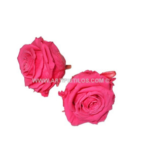 ROSE PRÉSERVÉE 6 CMS.