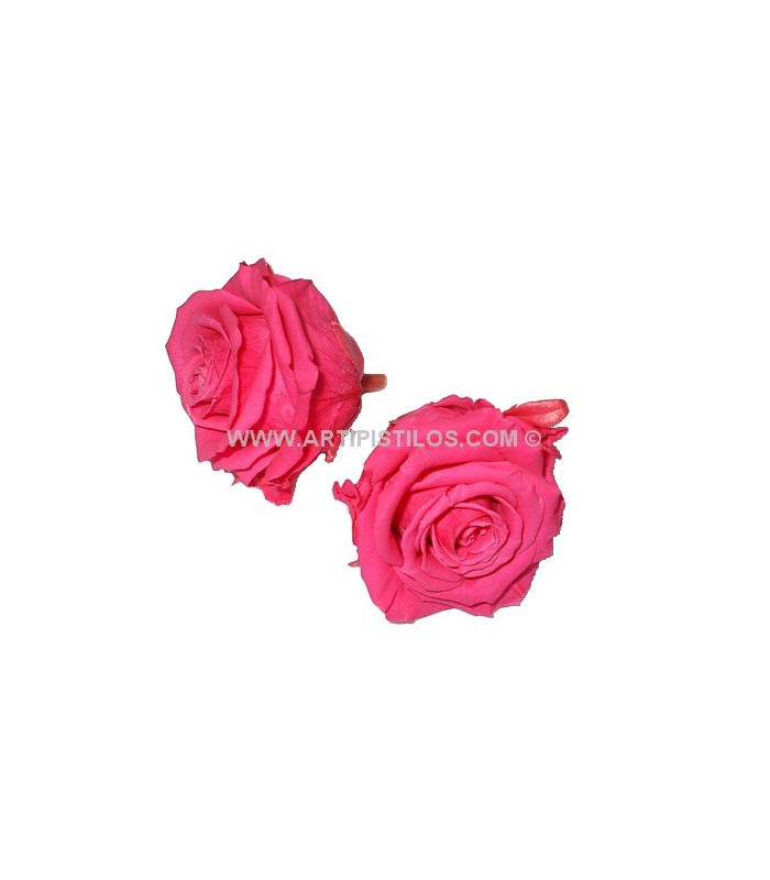 ROSE PRÉSERVÉE 6 CMS.