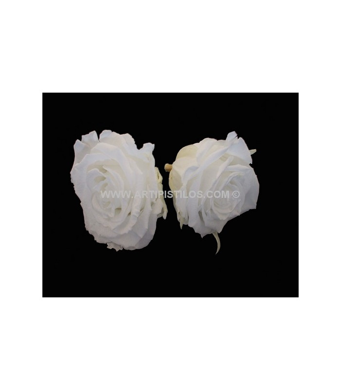 ROSE PRÉSERVÉE 6 CMS.