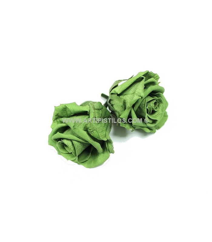 ROSE PRÉSERVÉE 6 CMS.