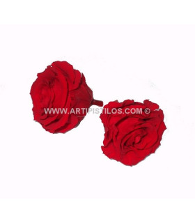 ROSE PRÉSERVÉE 6 CMS.