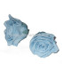 ROSE PRÉSERVÉE 6 CMS.