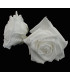 ROSE GRANDE PRÉSERVÉE 9 CMS.