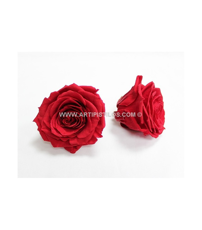 ROSE GRANDE PRÉSERVÉE 9 CMS.
