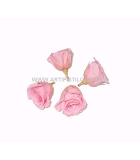 PETITE ROSE PRÉSERVÉE 2 X 2 CMS.