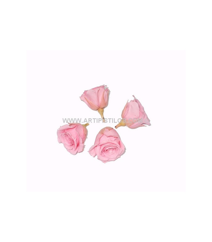 PETITE ROSE PRÉSERVÉE 2 X 2 CMS.