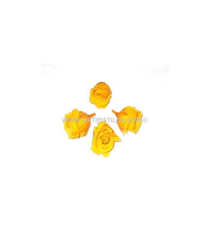 PETITE ROSE PRÉSERVÉE 2 X 2 CMS.