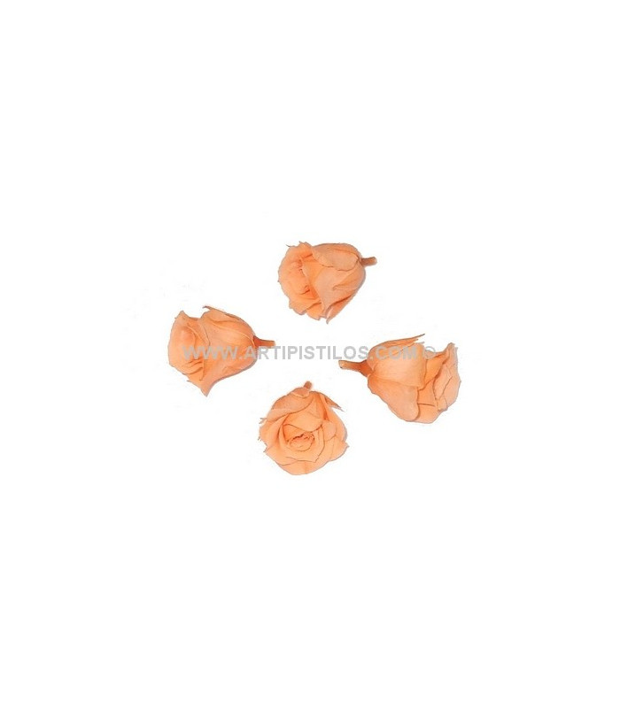 PETITE ROSE PRÉSERVÉE 2 X 2 CMS.