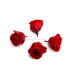 PETITE ROSE PRÉSERVÉE 2 X 2 CMS.