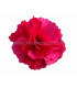 FLEUR EN SATIN
