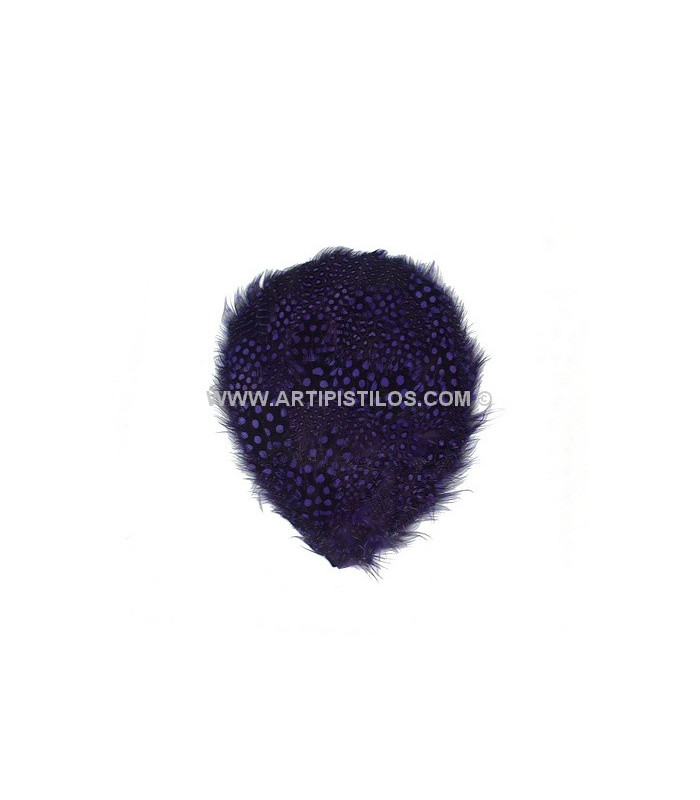 ORNEMENT DE PLUMES