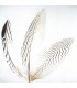 PLUME DE FAISAN ARGENTÉ 30 - 35 CMS.
